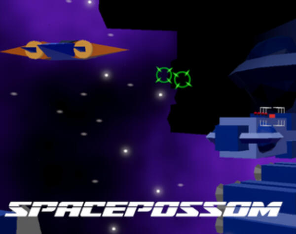 Space Possum Space Possum